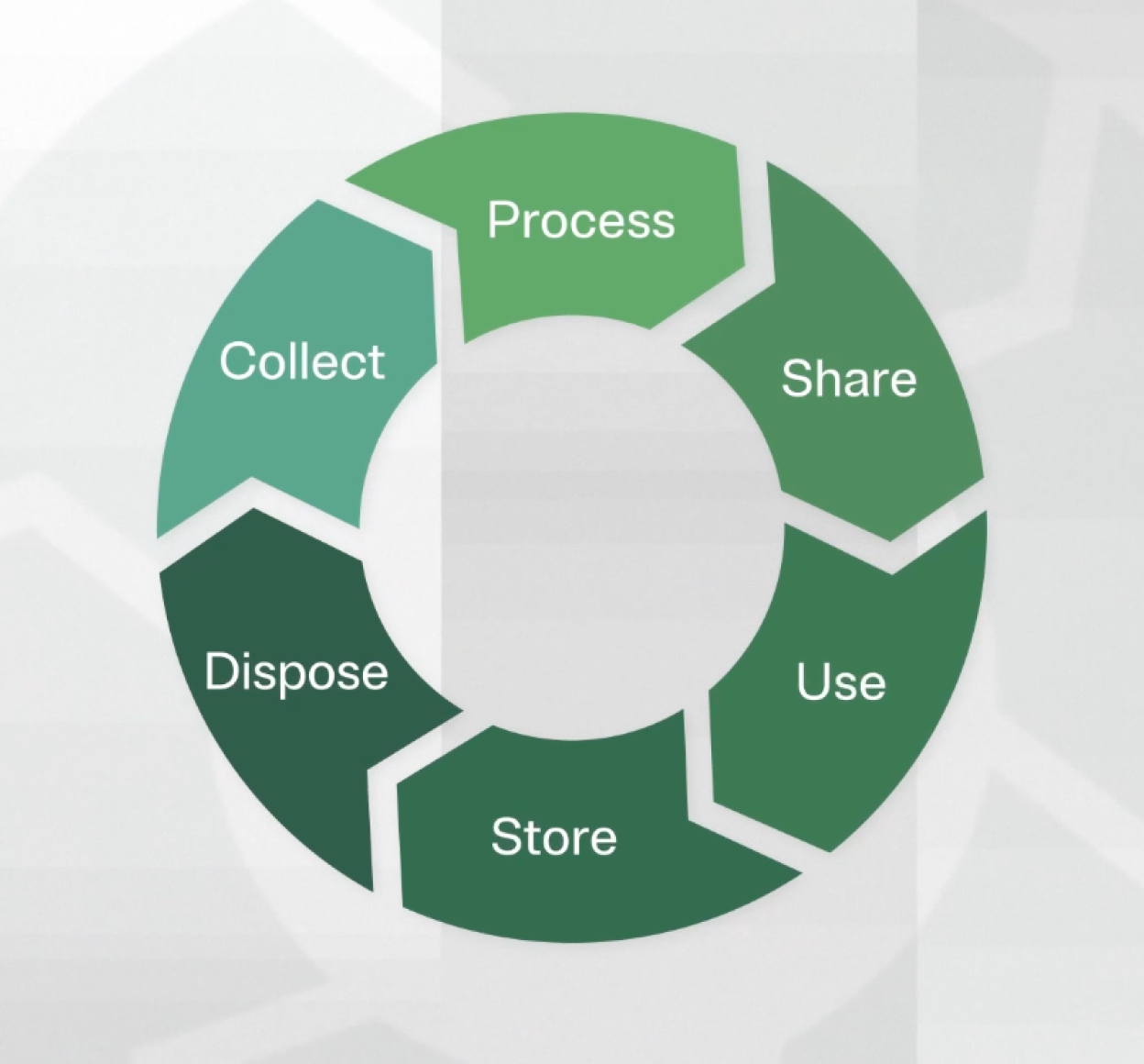 Graphic depicting a cycle with the words "process", "share", "use", "store", "dispose", "collect" in segments around it representing the information lifecycle